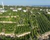 Mersin Erdemli Tabiye Mahallesi Satılık Limon Bahçesi İçinde Daire